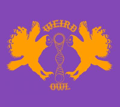 logo Weird Owl